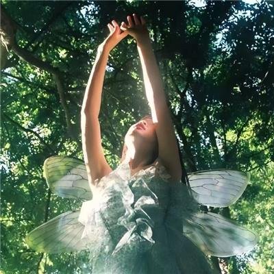 新贵夫君猜不透